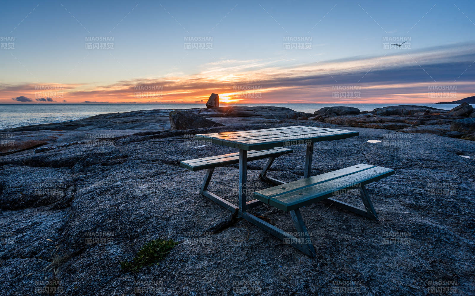 澳洲塔斯馬尼亞海濱日出