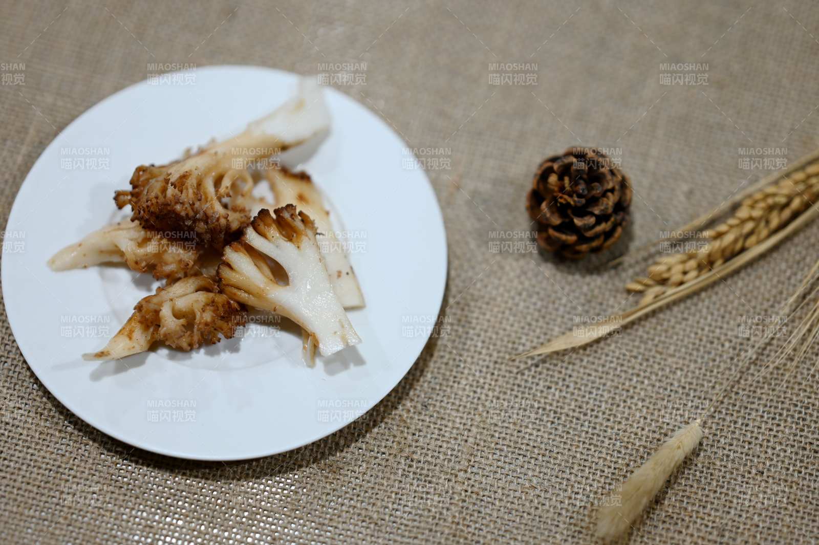 甘孜州野生珊瑚菌