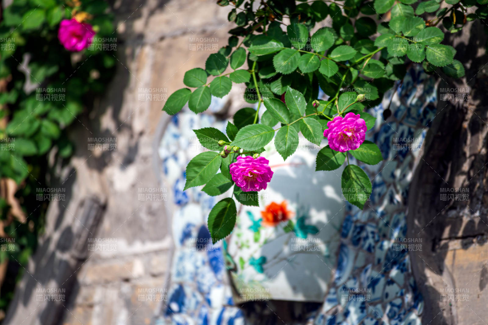 粉花綠葉映青磚