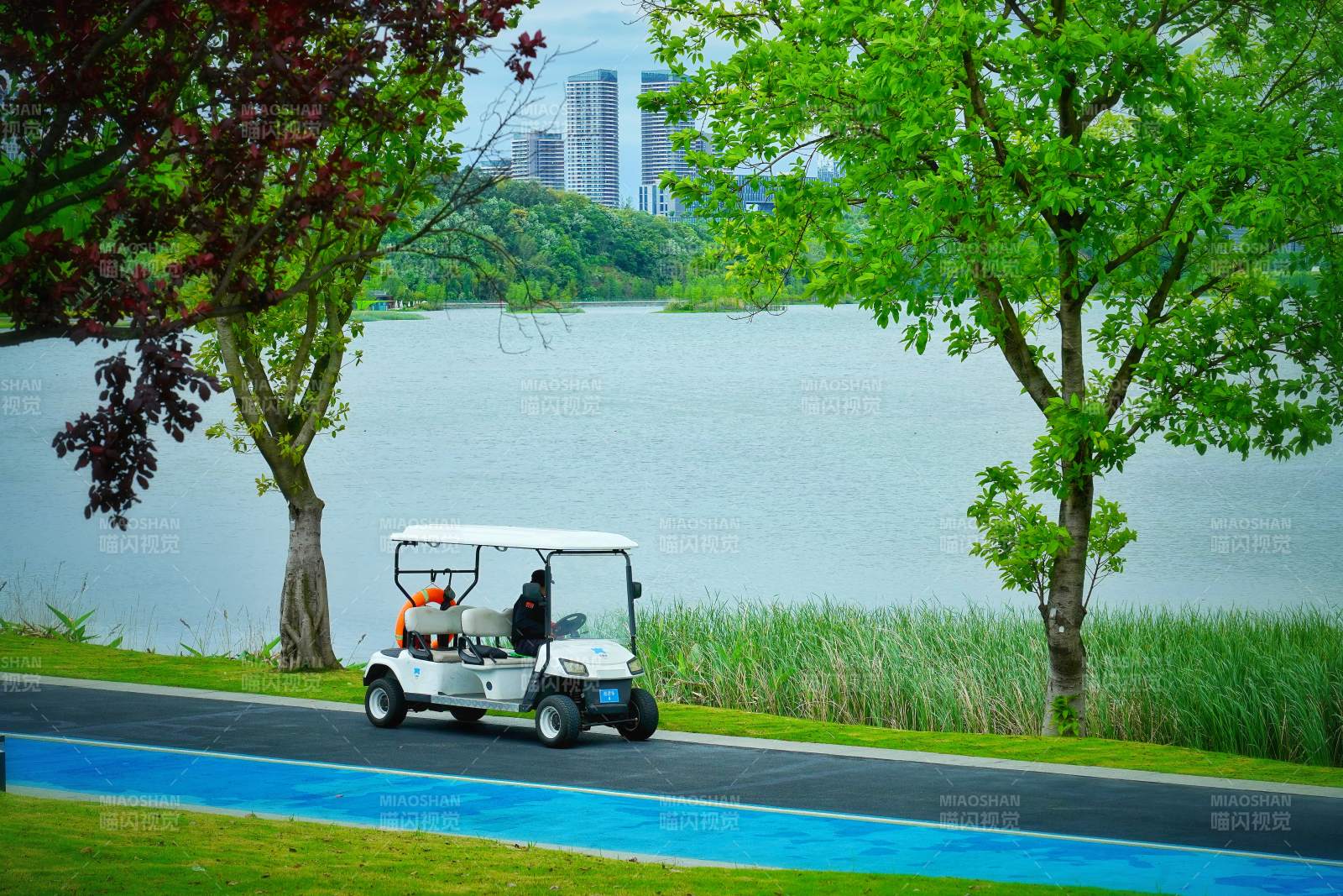 湖畔高爾夫車馳騁