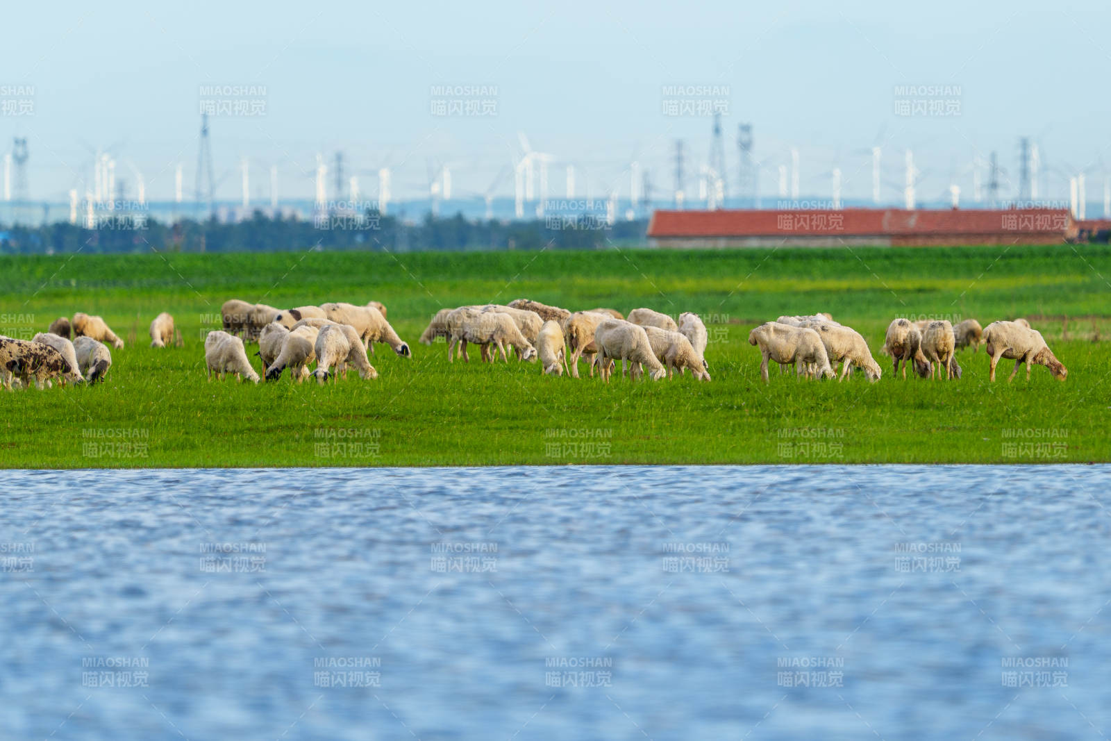 湖畔牧羊圖 張北草原
