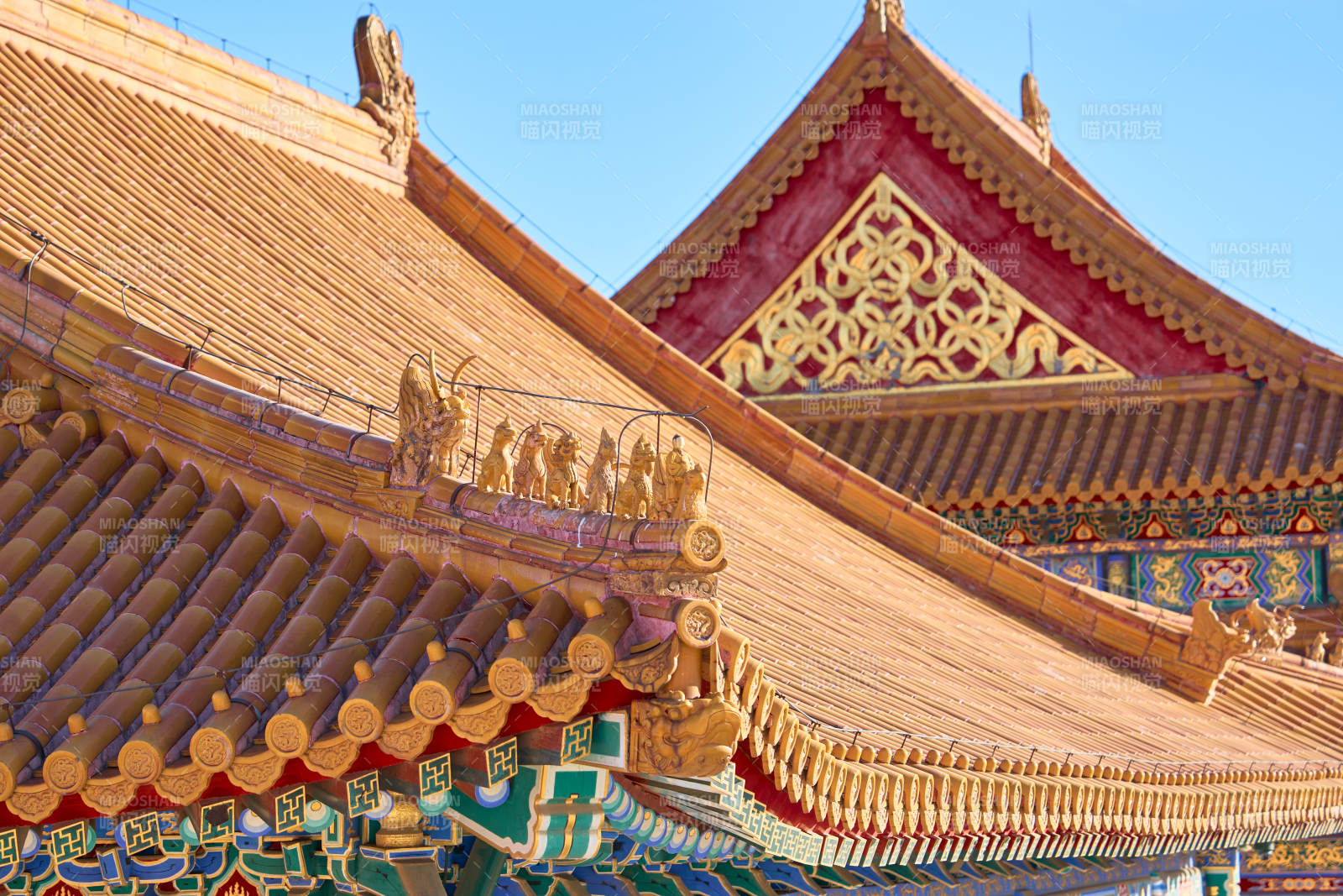北京故宮金頂風(fēng)光