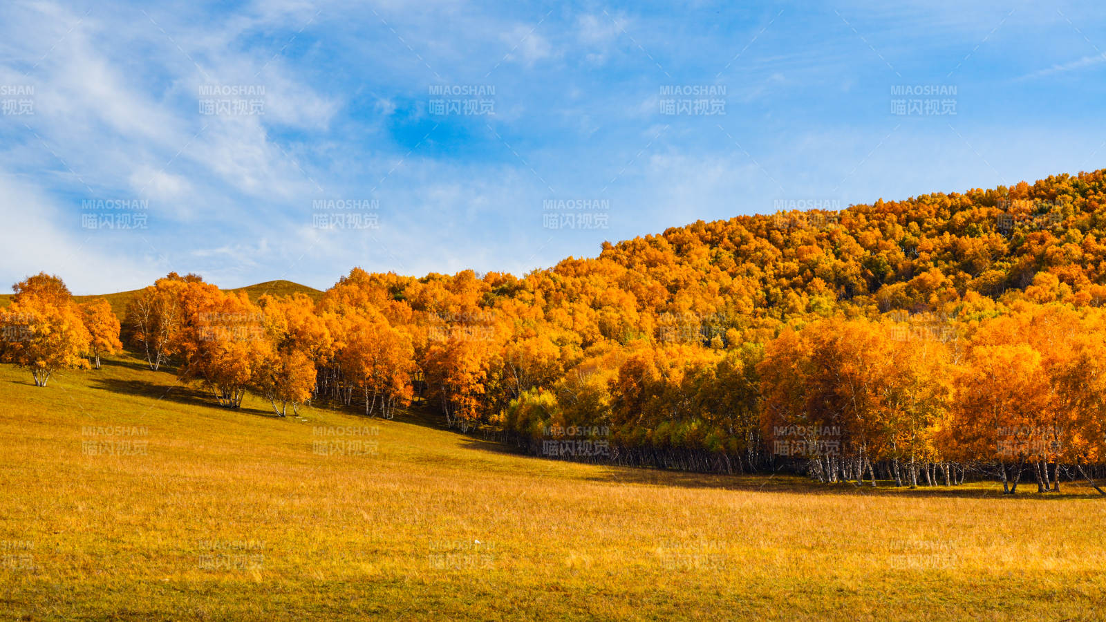 內蒙美林谷秋日山林美景