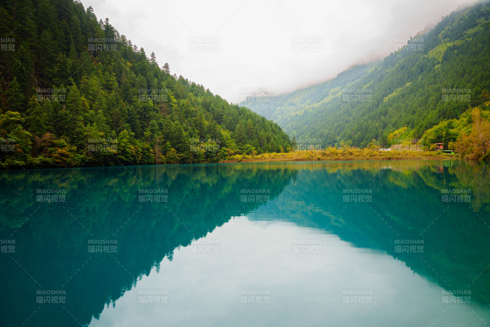 碧湖映山 靜謐如畫  九寨溝