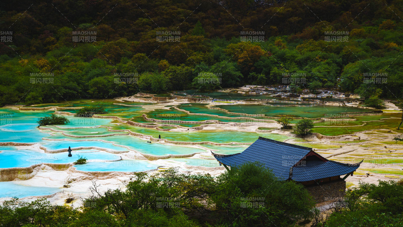 彩池映翠林  黃龍景區(qū)