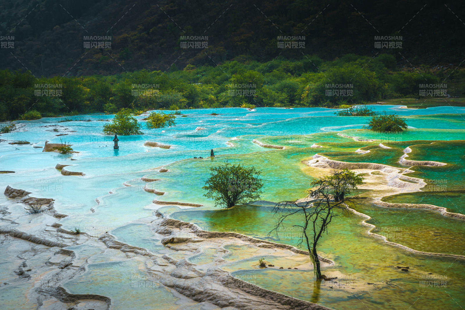 碧水綠洲奇景  黃龍景區