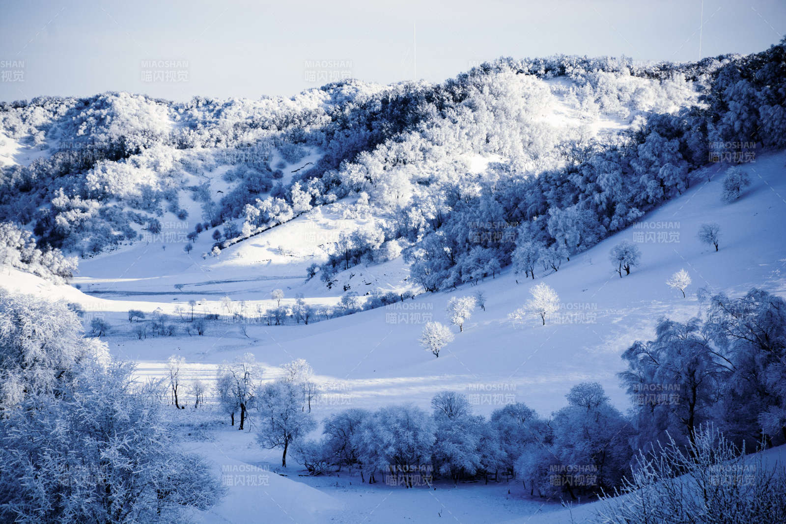 雪覆山林靜謐景
