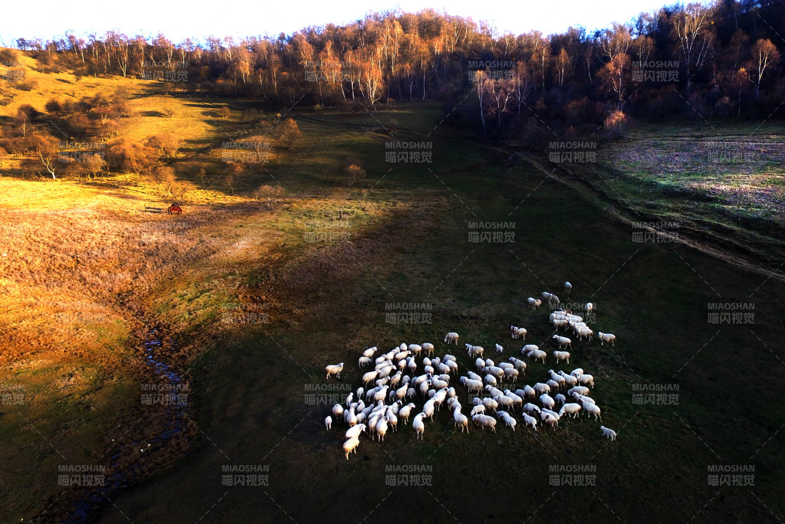 秋日牧羊圖
