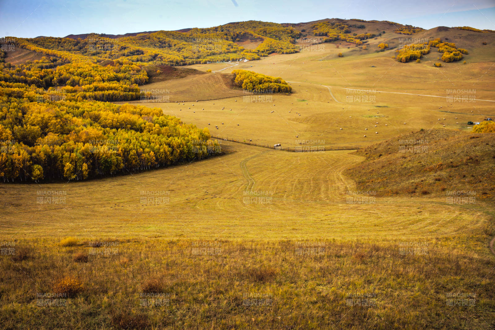 秋日草原風(fēng)光