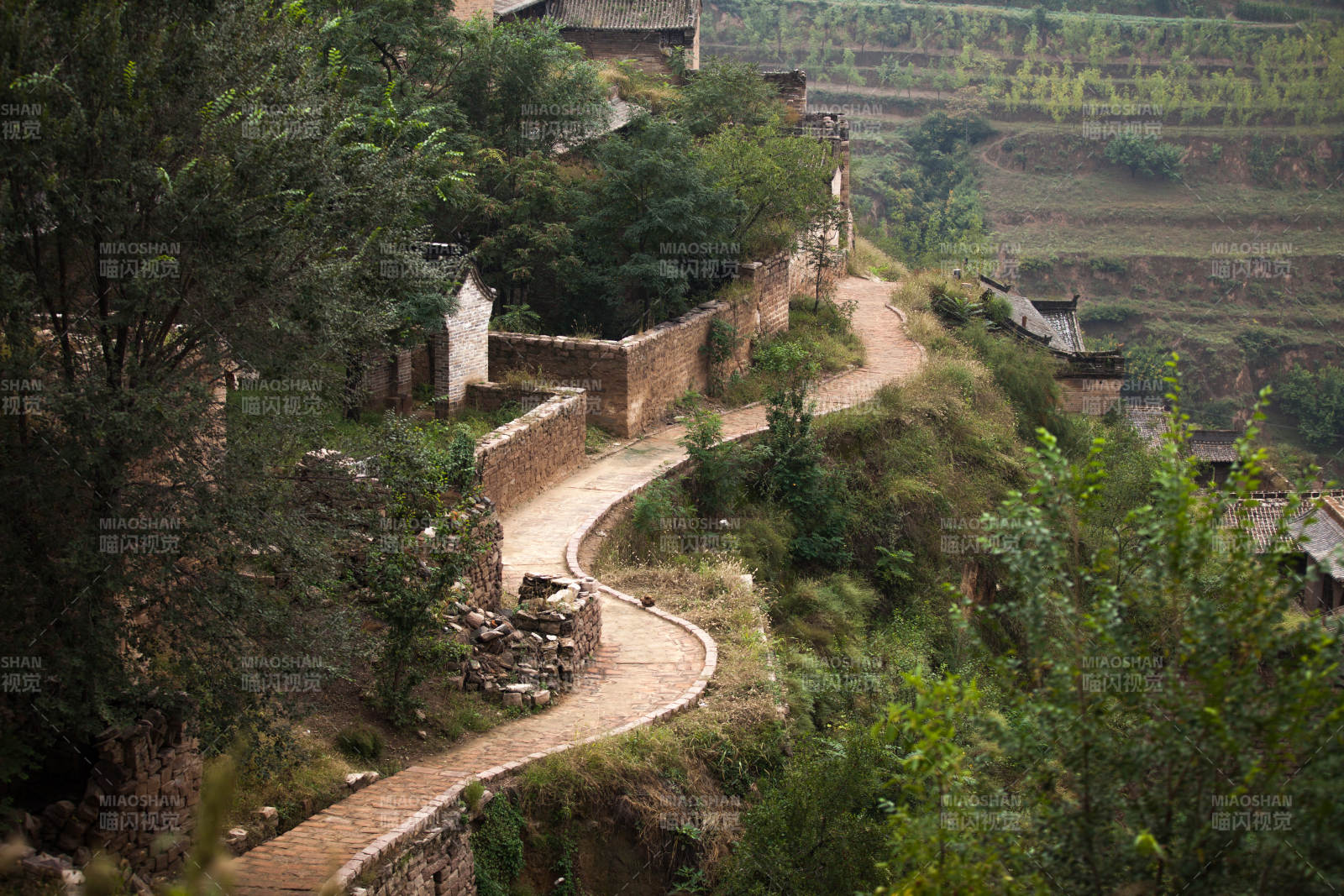 山間小徑蜿蜒前行