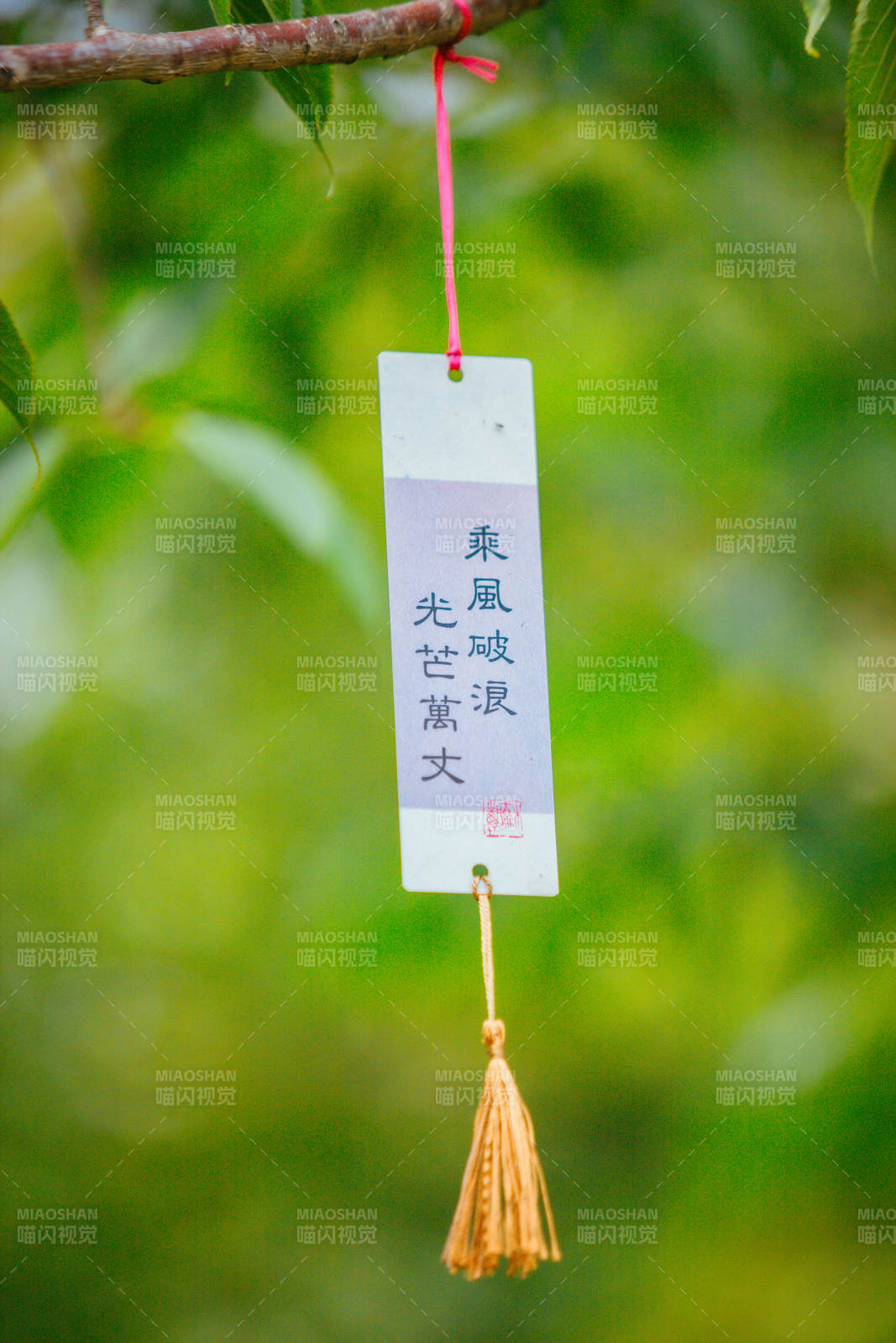 乘風破浪 光芒萬丈