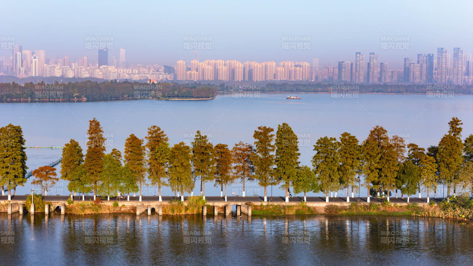東湖磨山湖畔秋景城市天際線