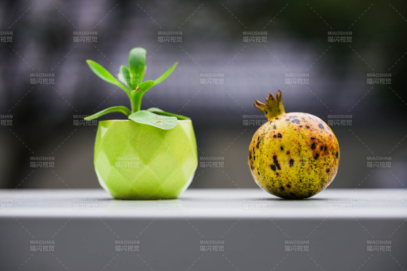 綠植與石榴靜物