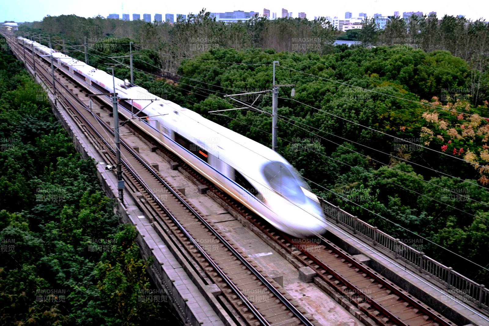 高速列車穿行林間