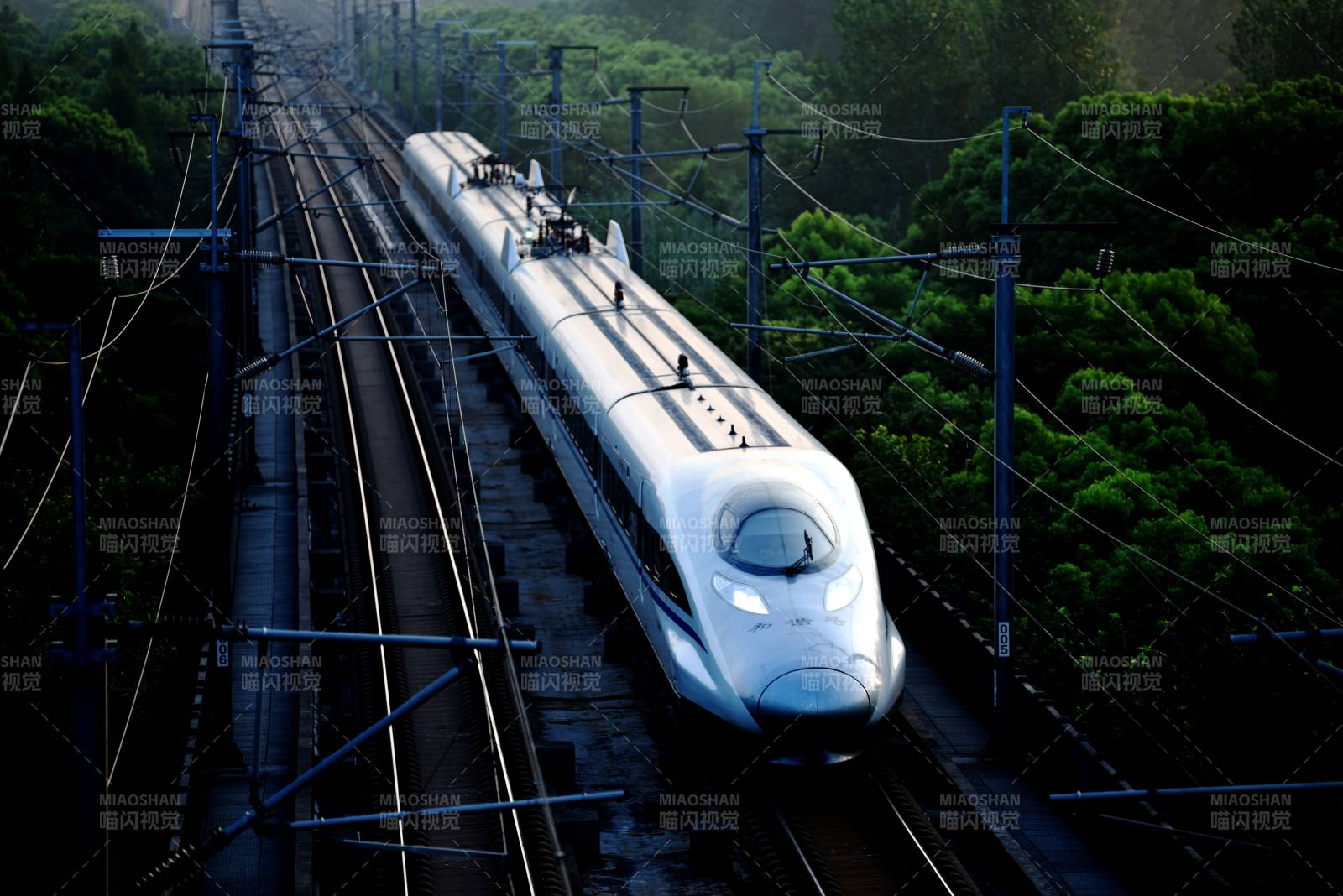 高速列車穿行林間