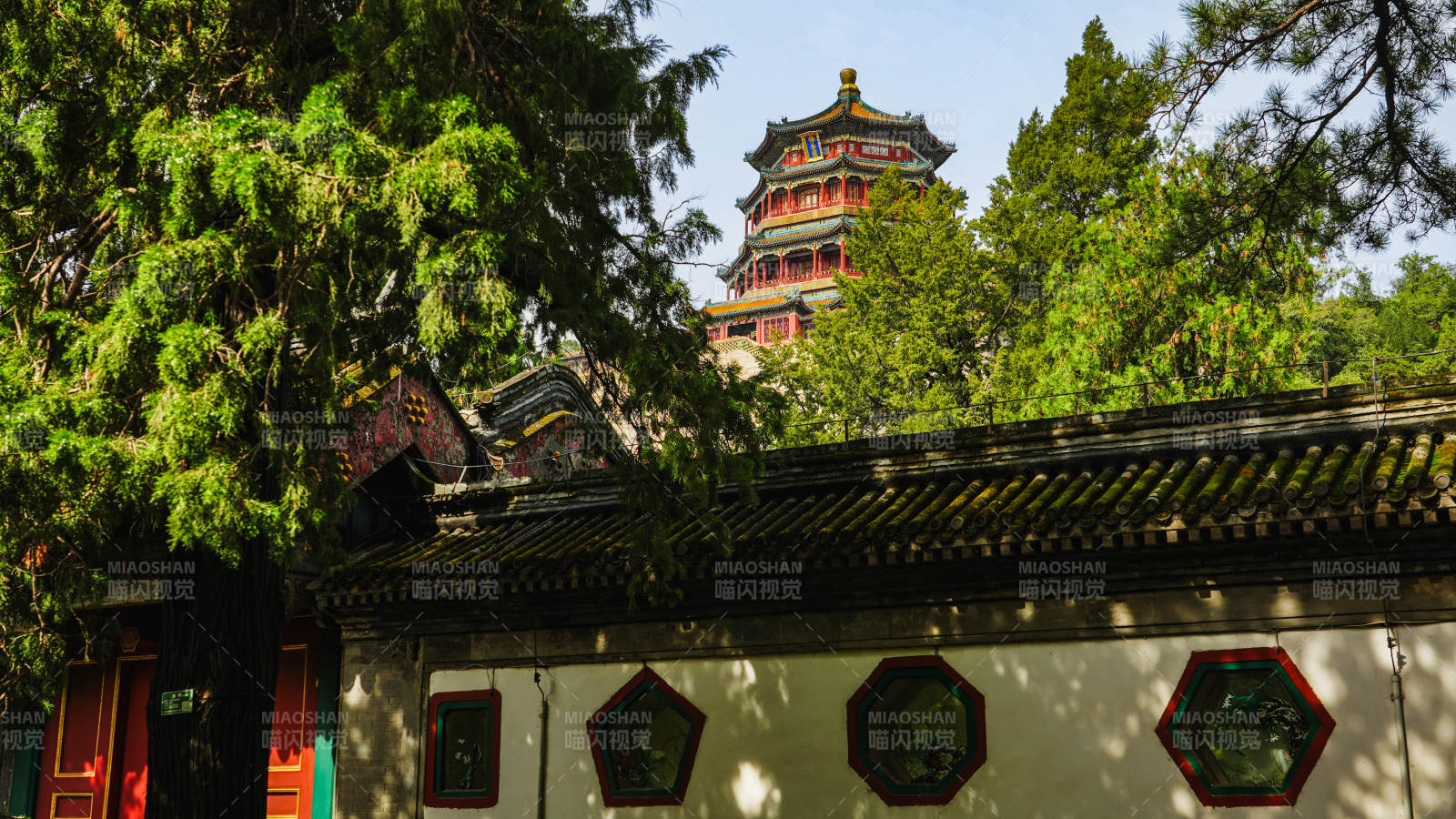 佛香閣古塔隱于綠樹間