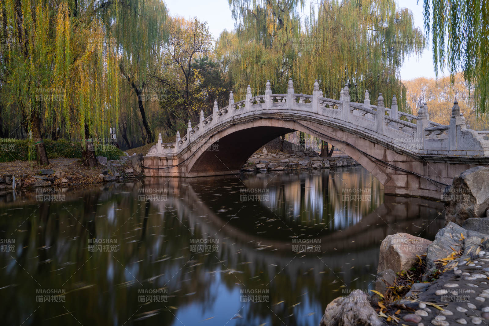 圓明園柳橋秋影