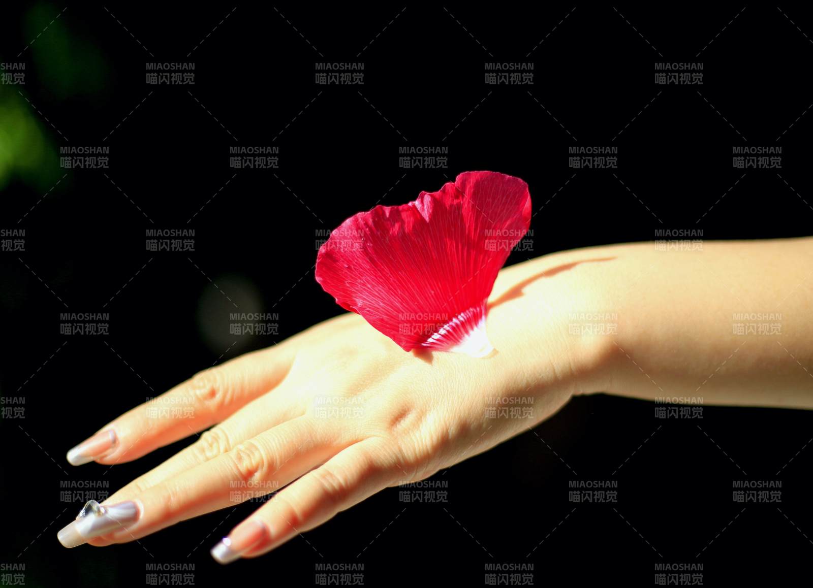 紅花輕落掌心