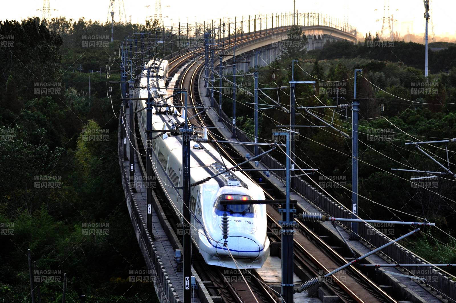 高速列車穿行林間