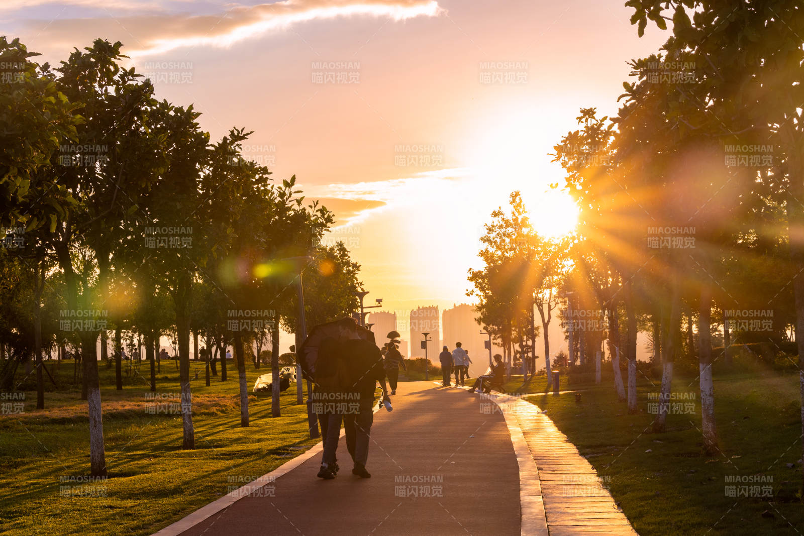 夕阳下的公园小径