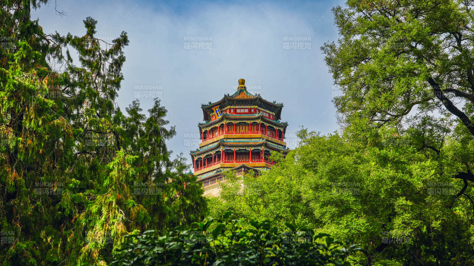 頤和園佛香閣古塔隱于綠樹間