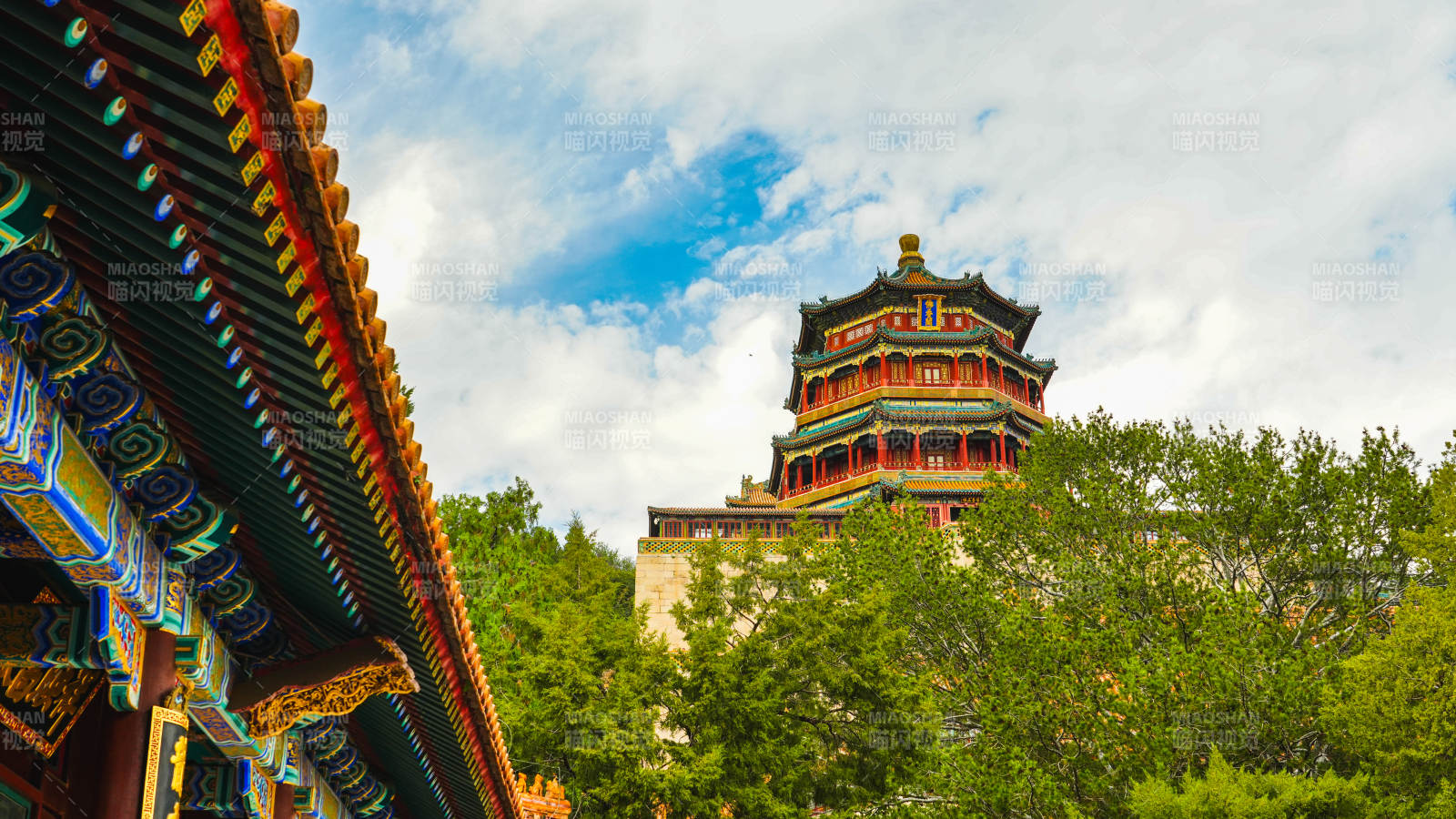 頤和園古塔映綠樹