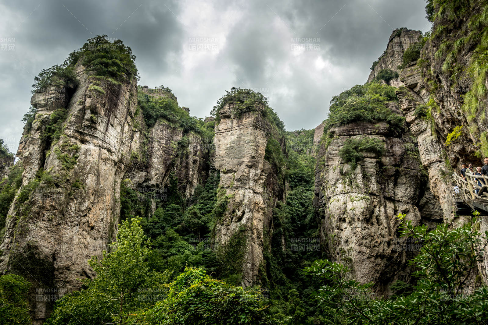雁蕩山奇峰聳立 綠意盎然