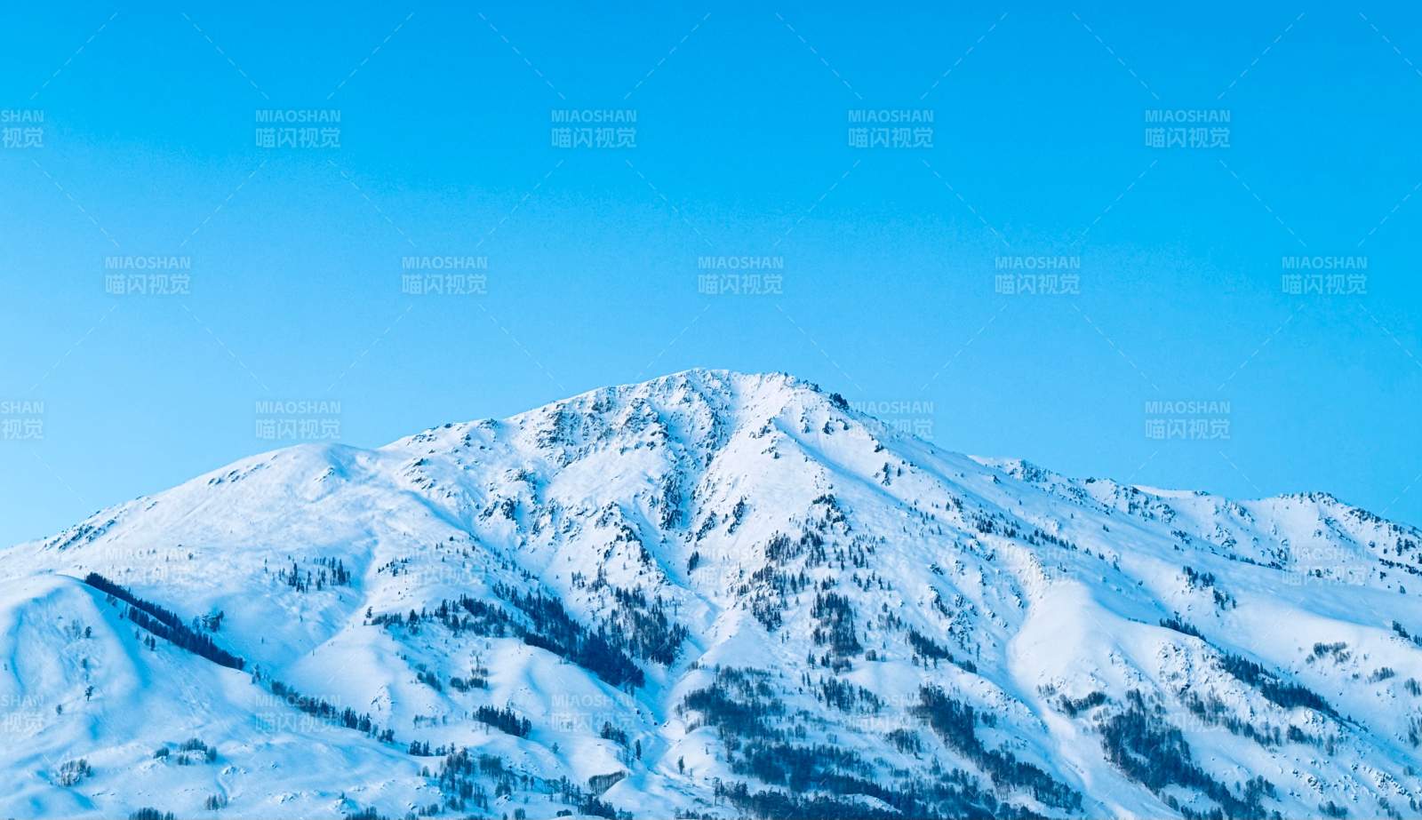 雪山之巔