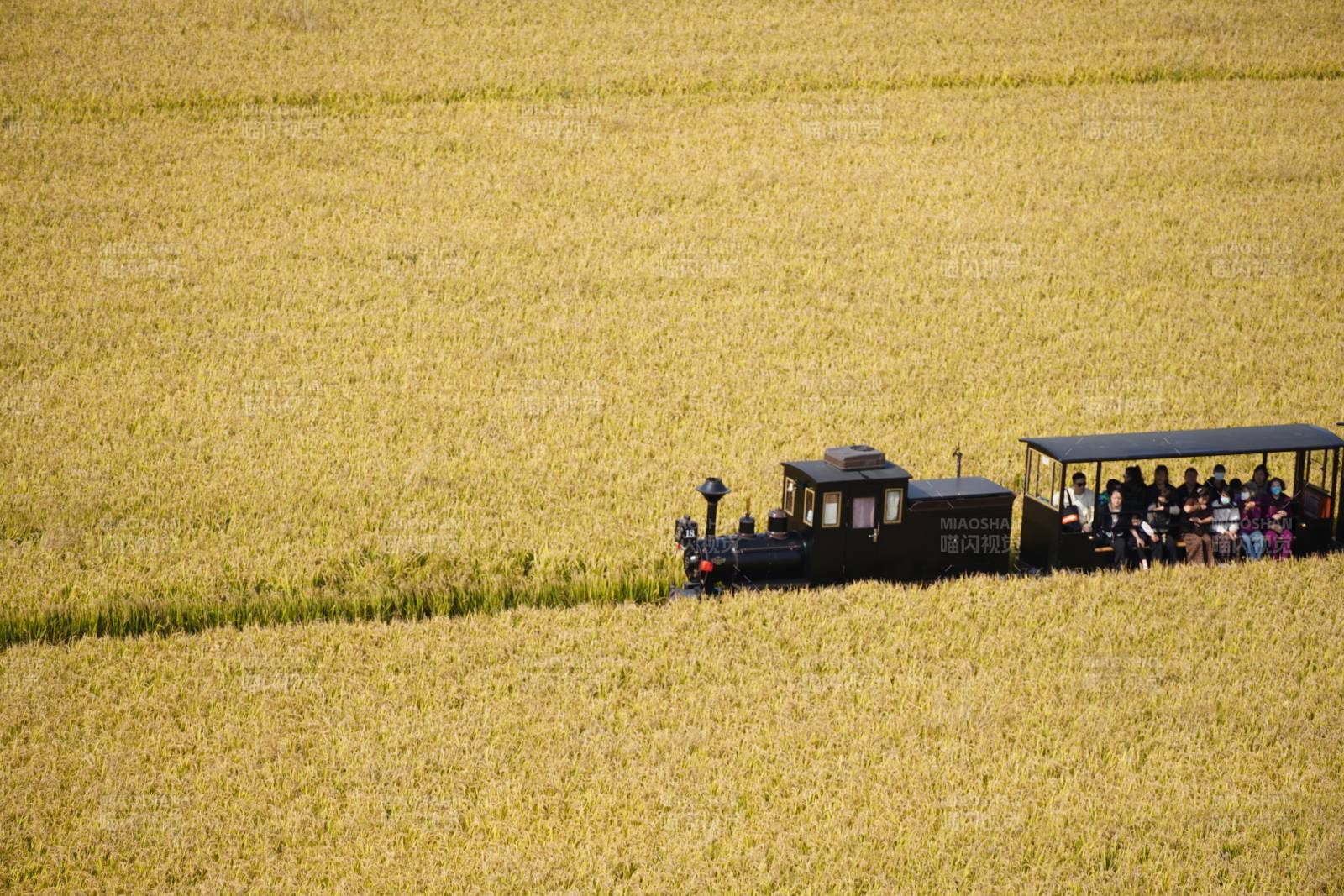 稻田小火车-稻梦空间