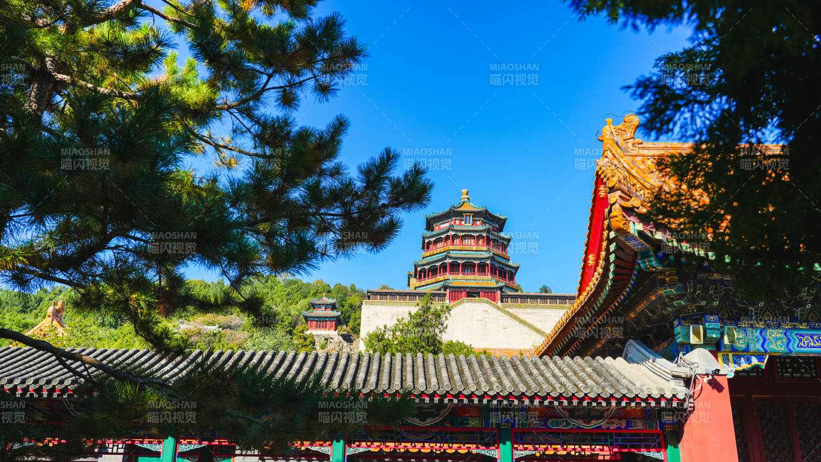 頤和園佛香閣春景