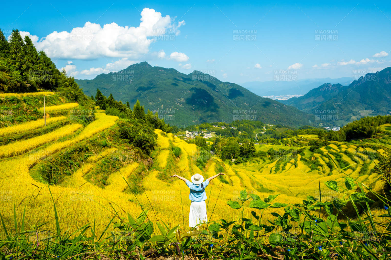 云和梯田金秋 心旷神怡