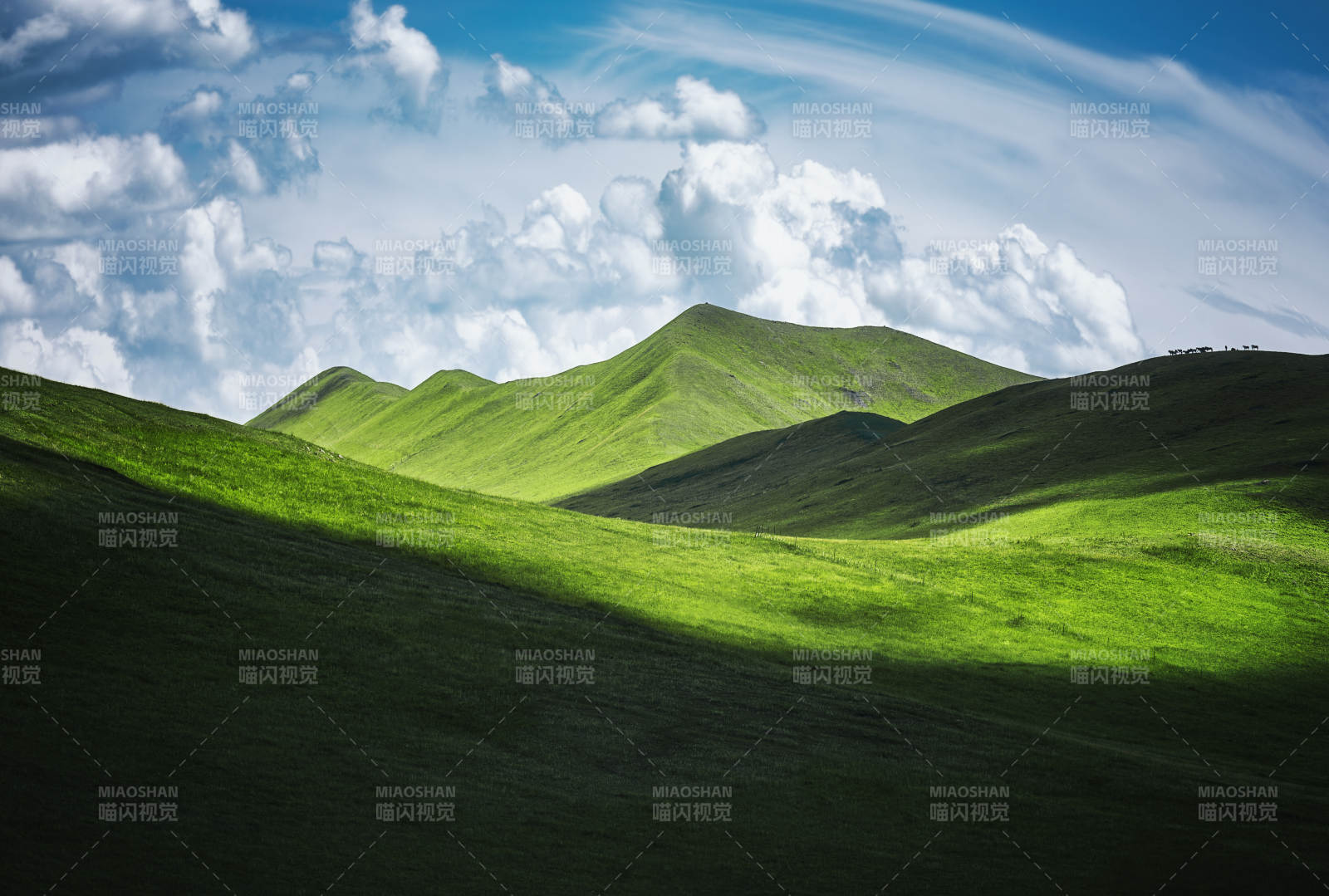 綠野青山云影  莫日格勒河景區