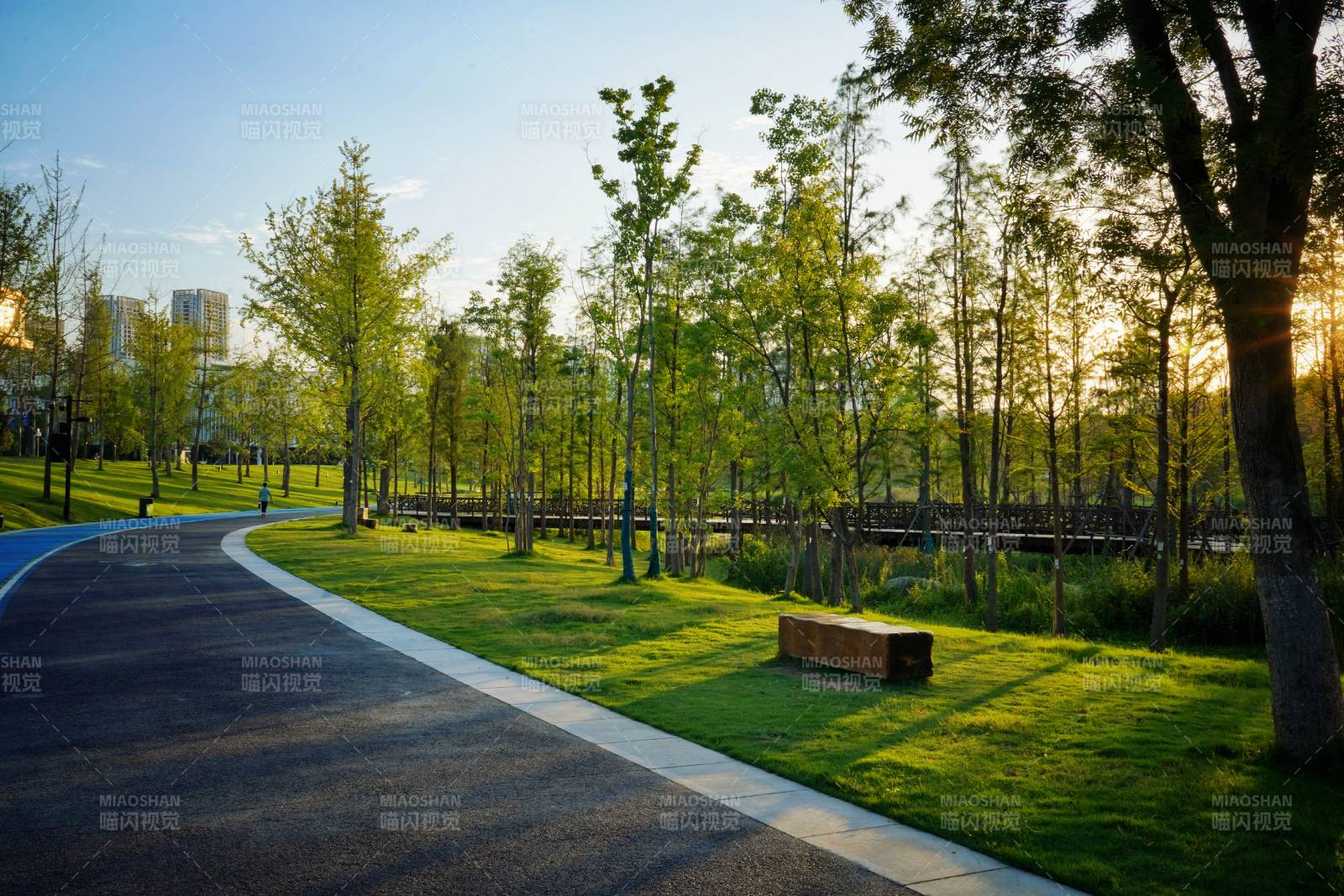 公园晨曦小径