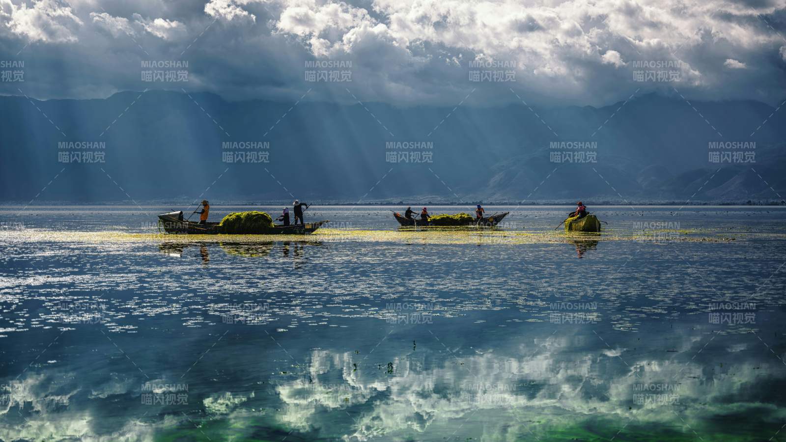 洱海上的劳作