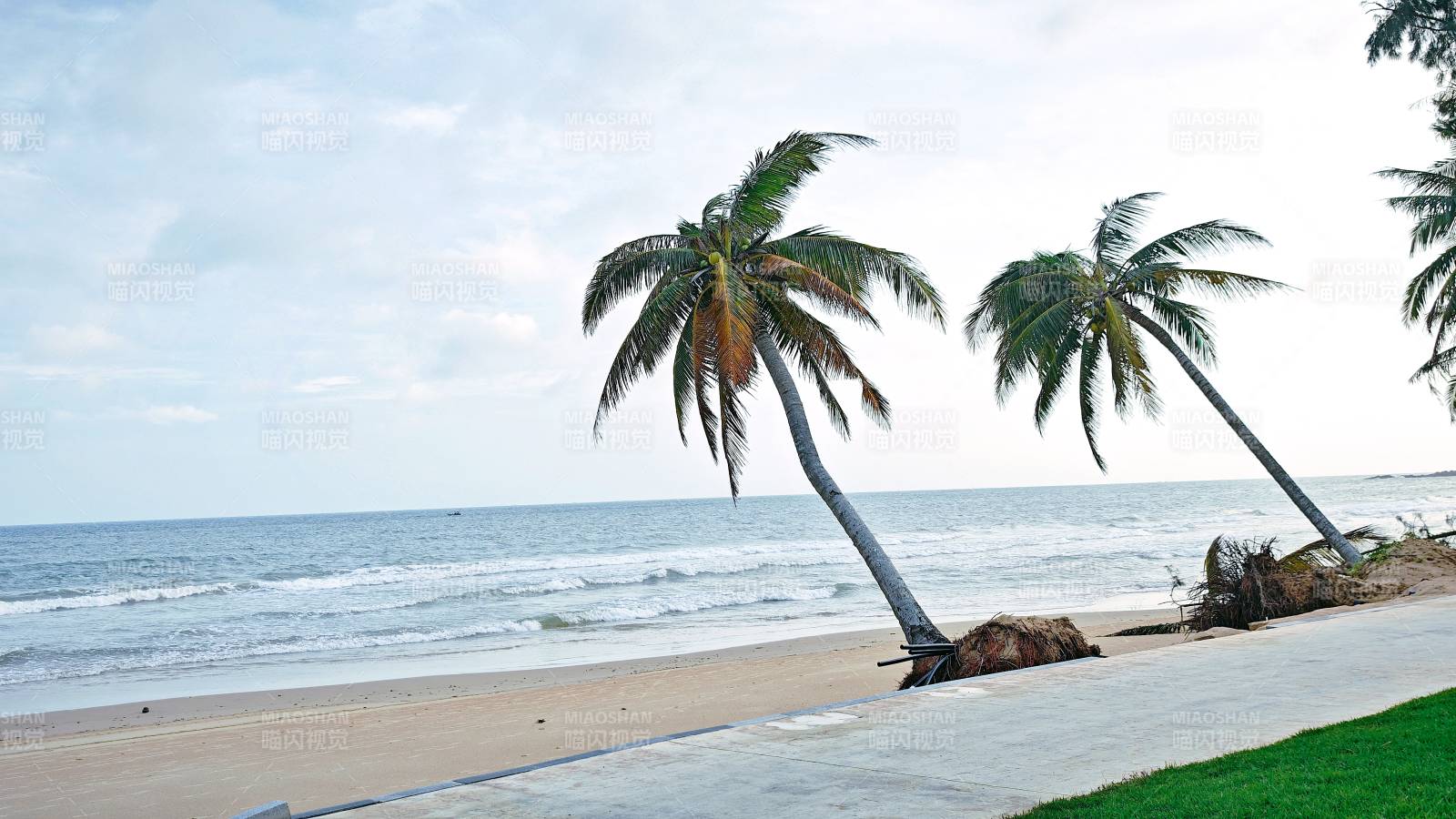 椰风海韵沙滩景