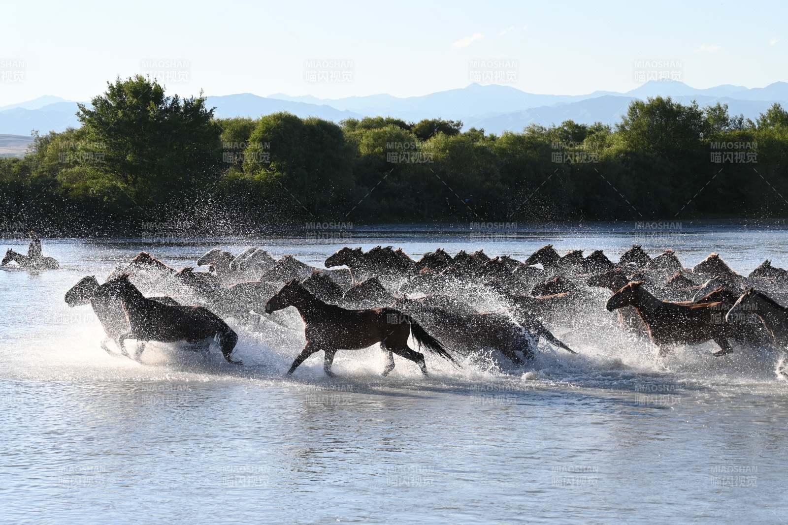 駿馬奔騰水花飛濺
