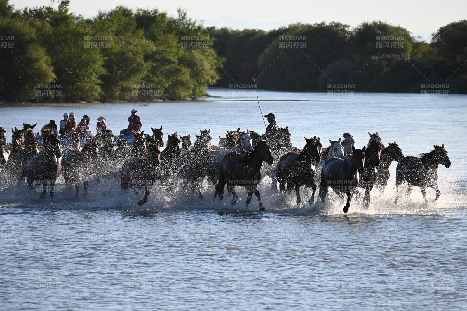 马群奔腾过河