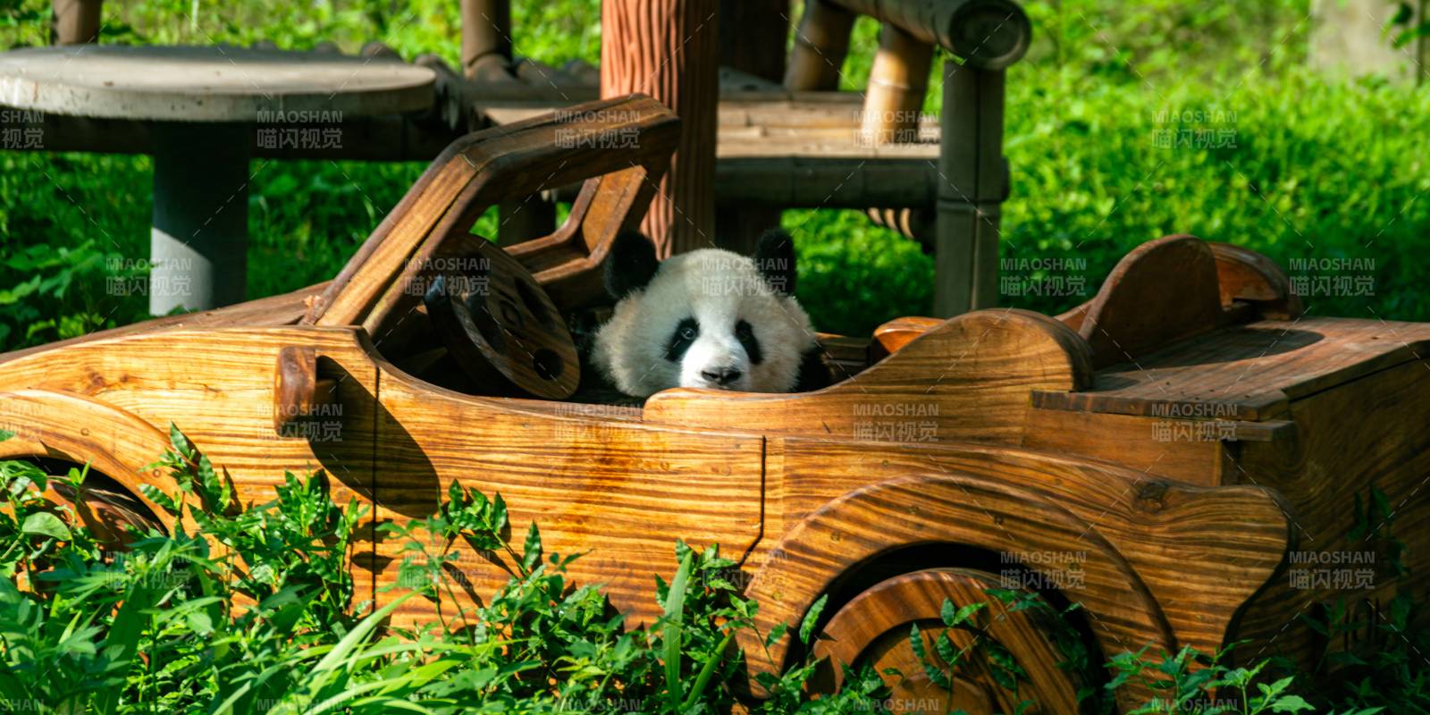 熊貓駕木車