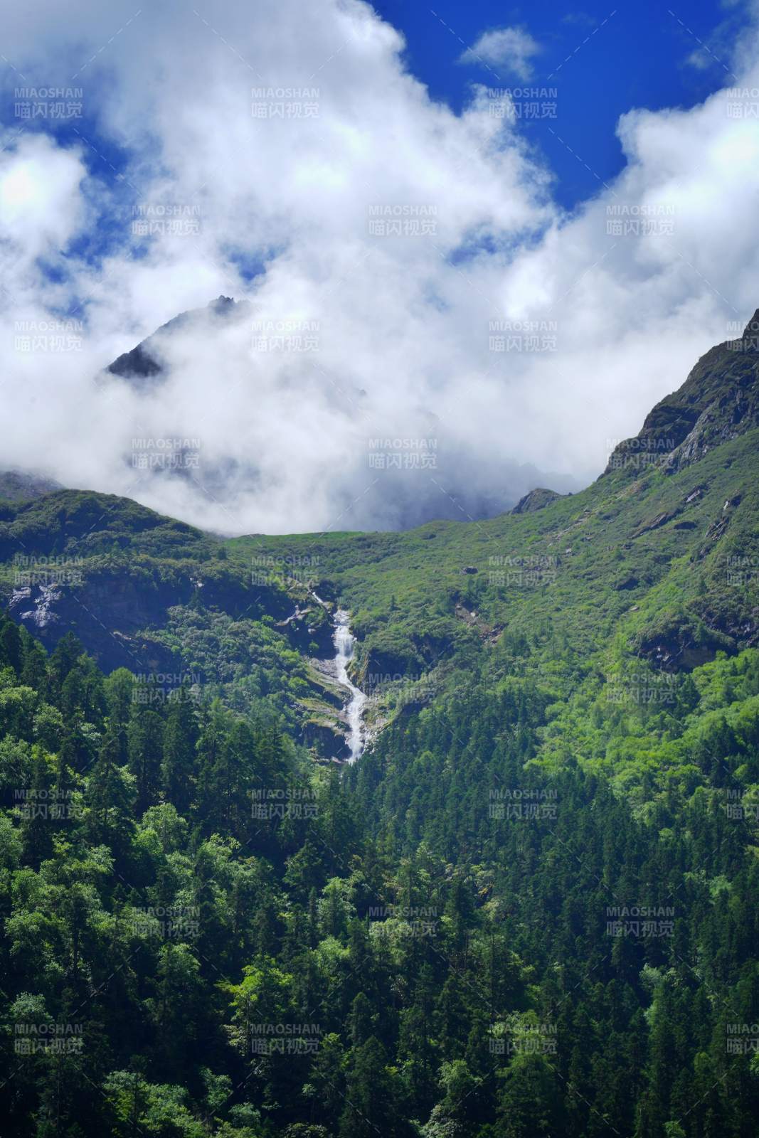 理小路的風(fēng)景