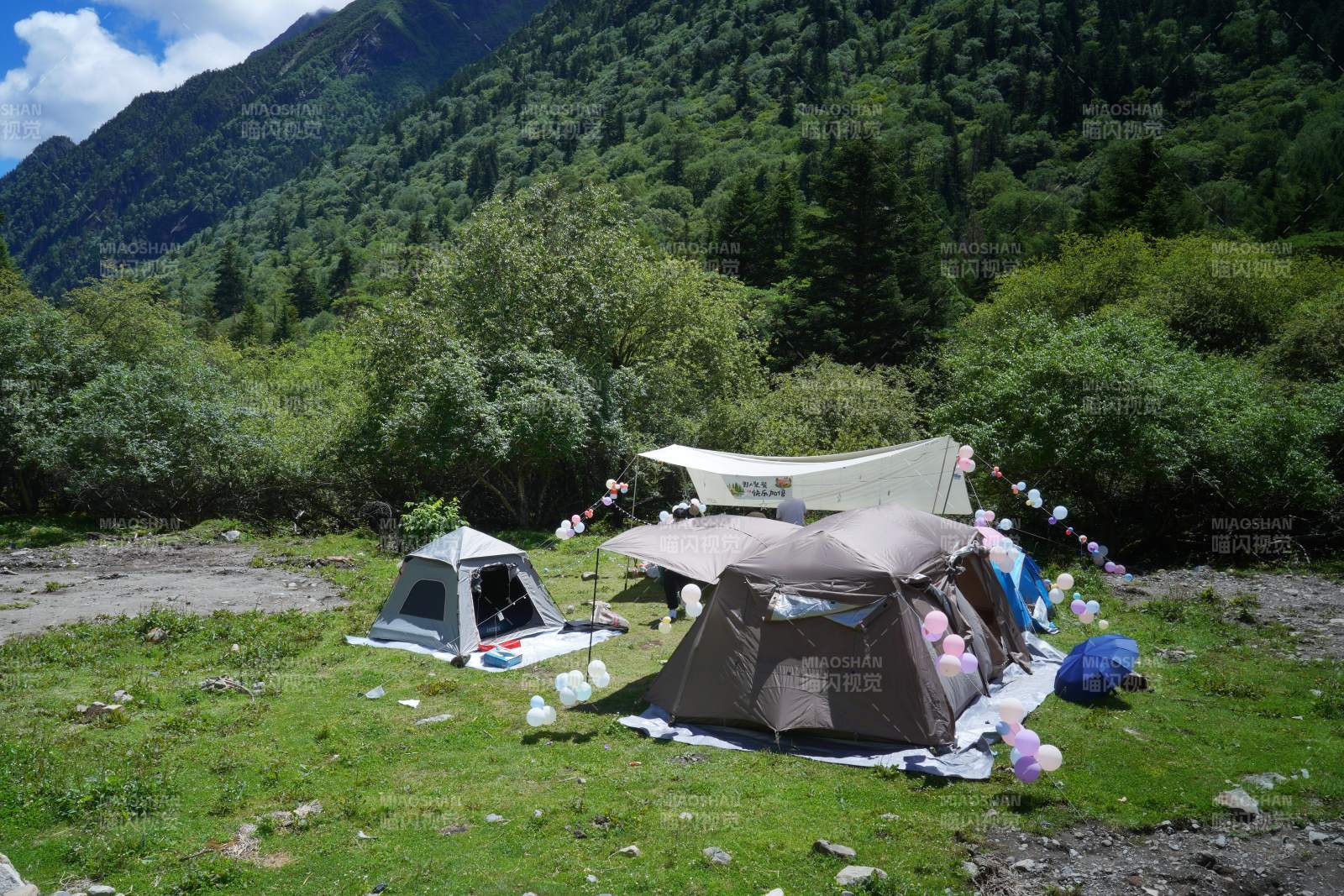 山野露營(yíng) 綠意盎然