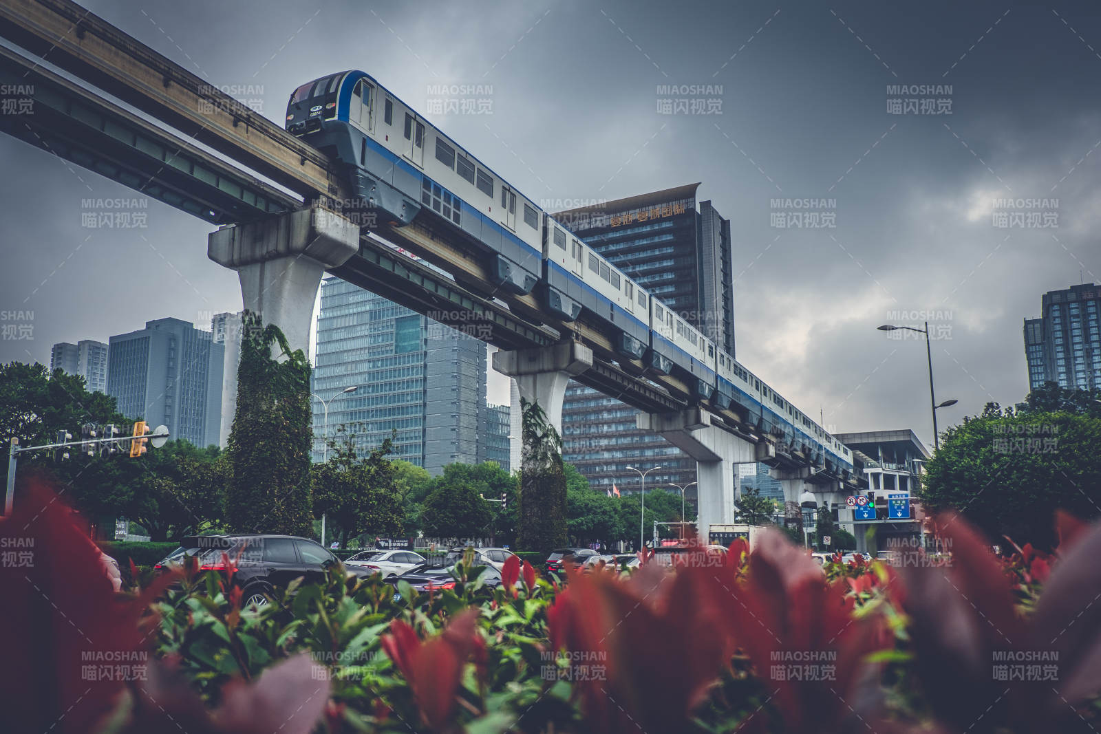 重庆城市轻轨穿行花海