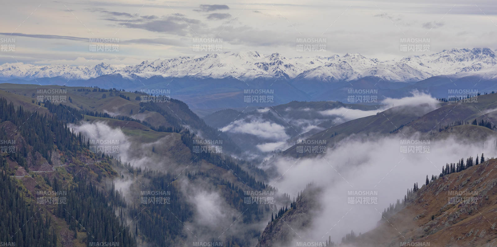 在新疆云霧繚繞山間