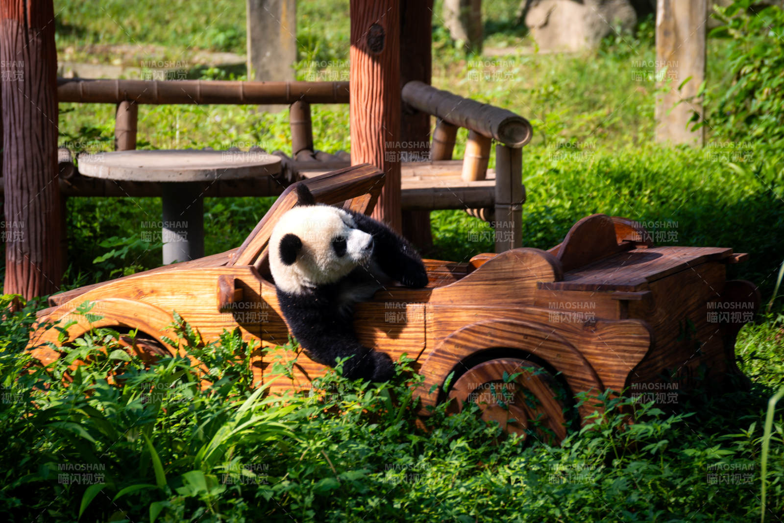 熊猫玩木车