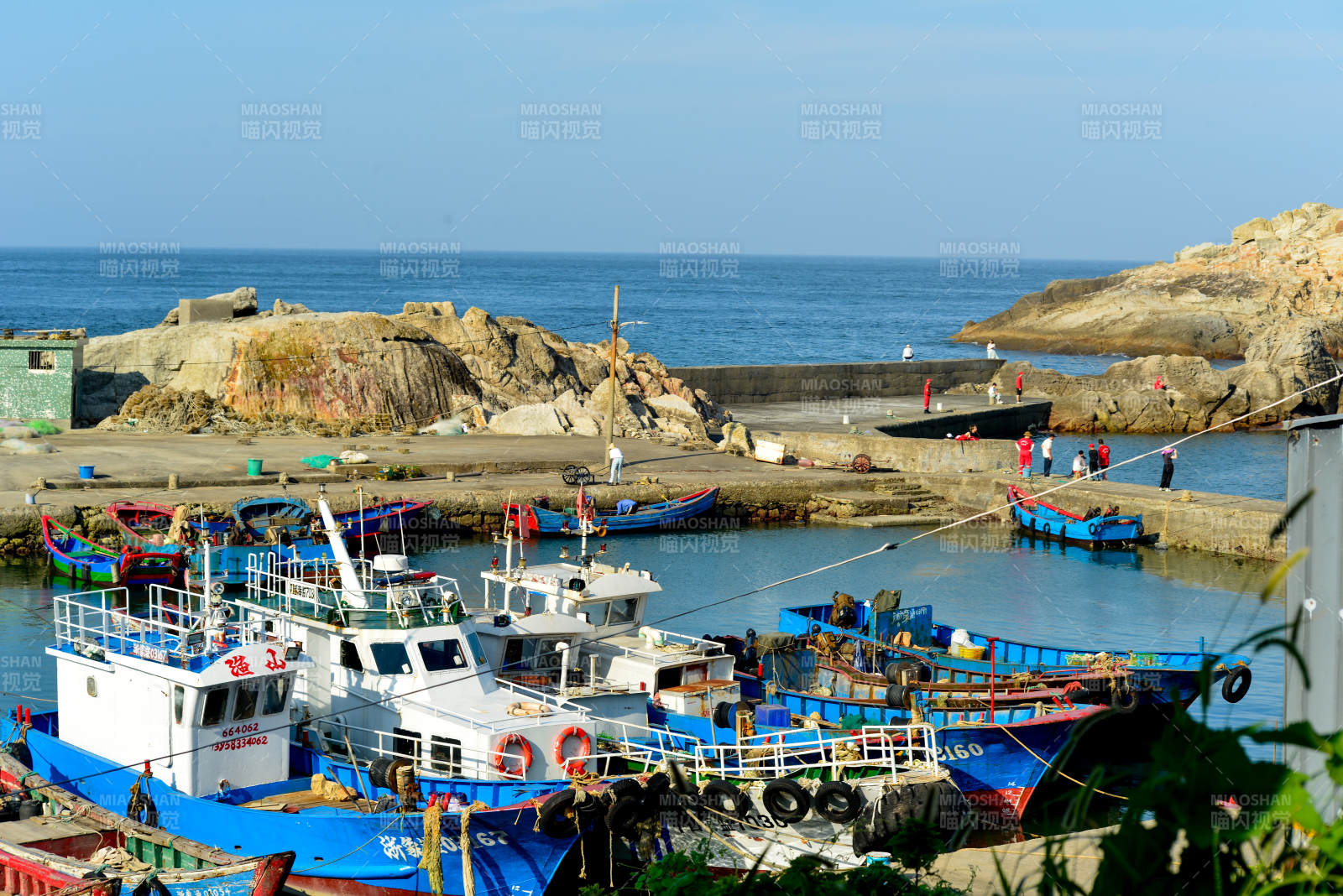 漁港風光