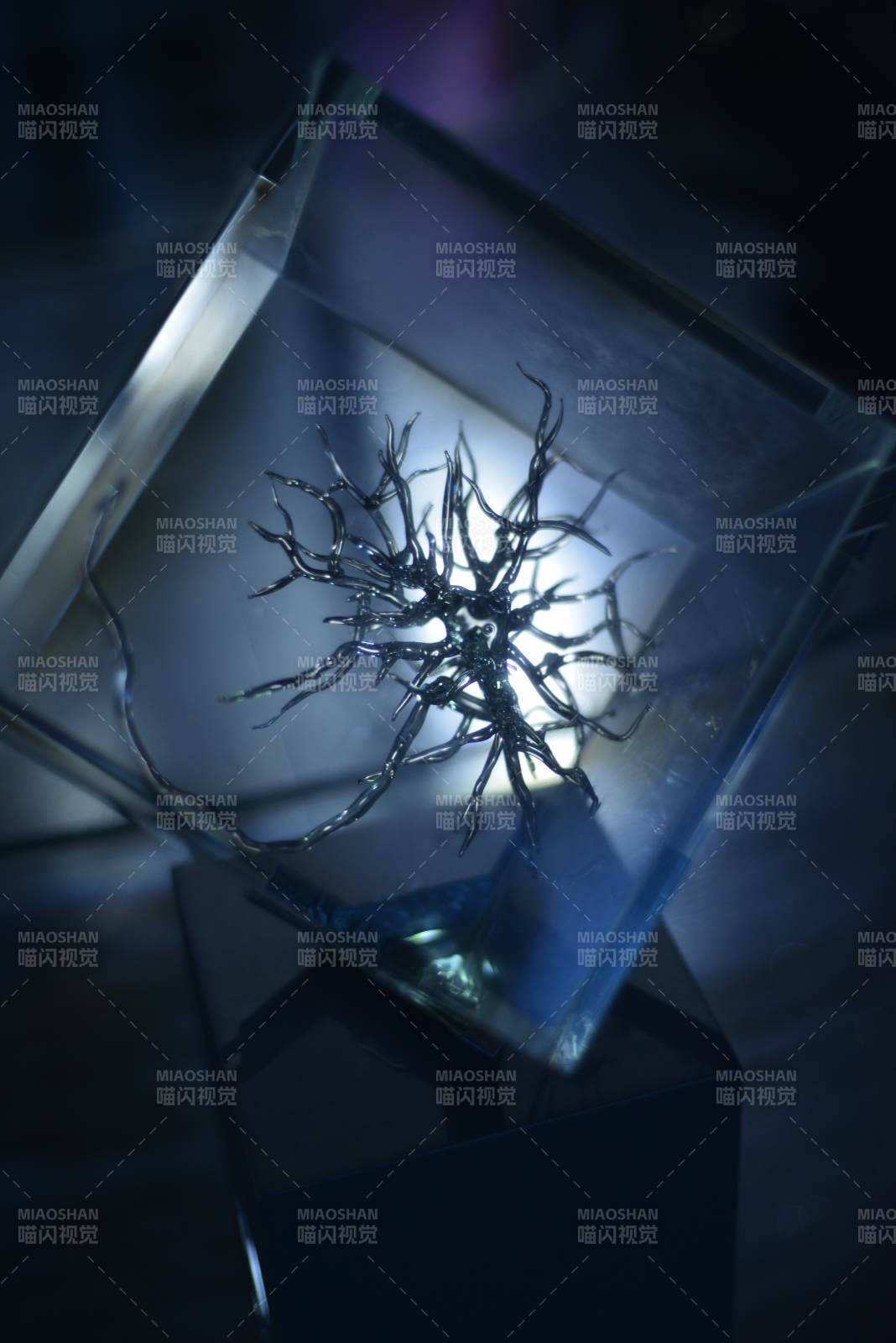 晶盒中的金屬枝椏