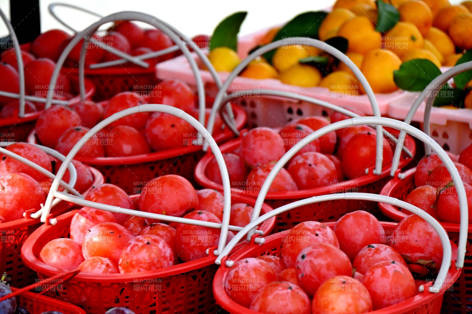 红柿满篮 鲜亮诱人
