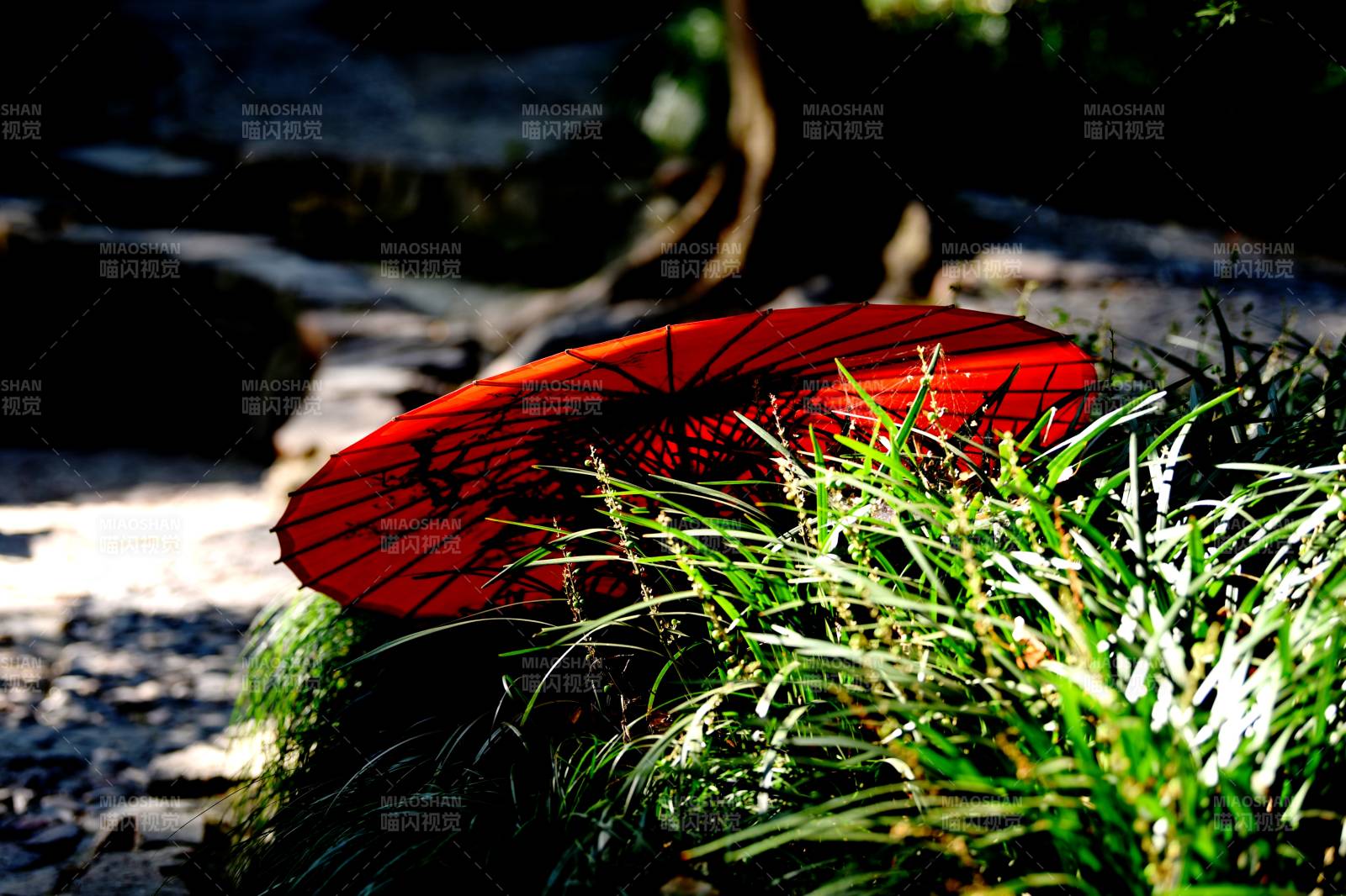 古风红伞映绿草