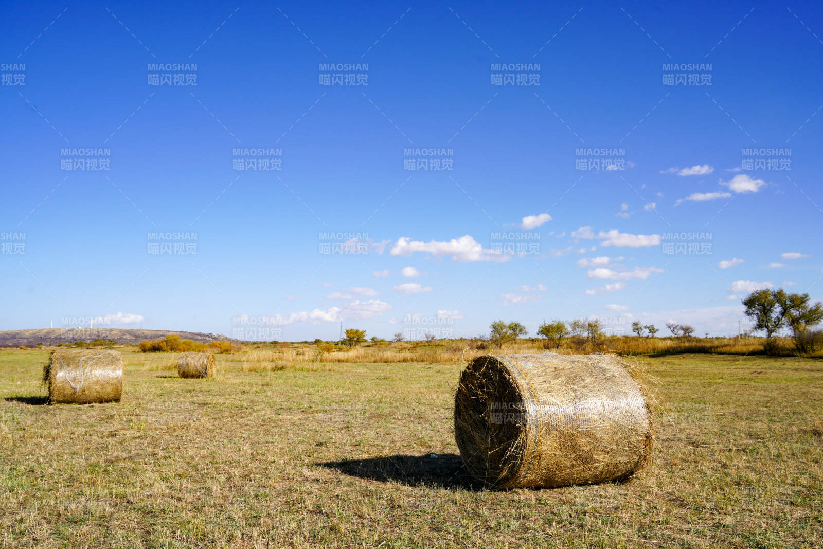 田野上的干草卷