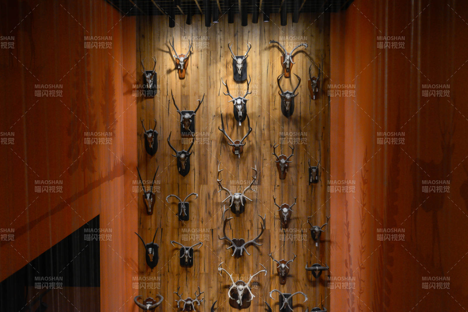 上海自然博物館鹿角墻飾藝術(shù)
