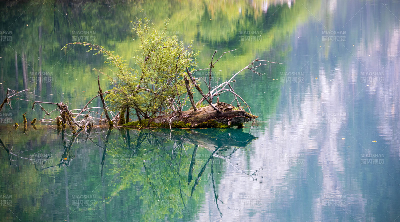 九寨沟的湖畔倒影静谧美